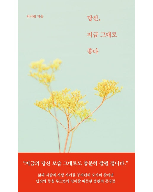 당신, 지금 그대로 좋다 (양장)