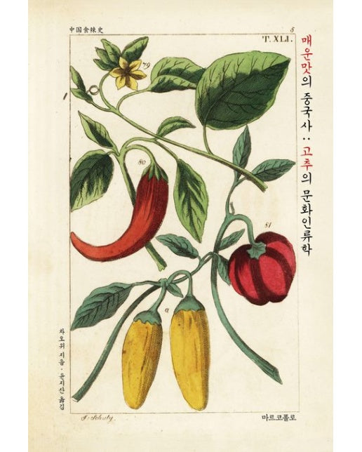매운맛의 중국사: 고추의 문화인류학