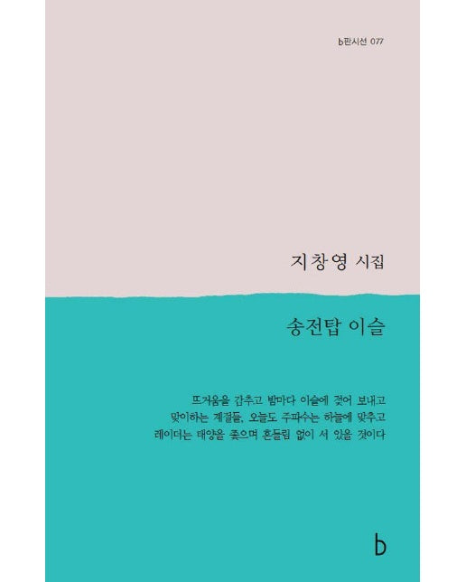 송전탑 이슬 - b판시선 77