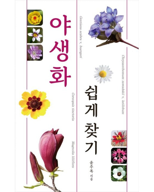 야생화 쉽게 찾기 (개정판 | 양장본 Hardcover)