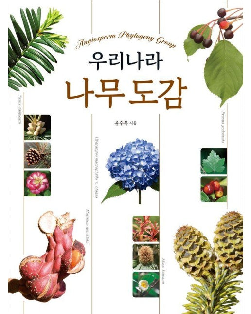 우리나라 나무 도감 (전면개정판)