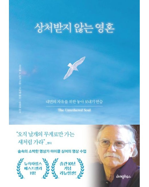 상처받지 않는 영혼(10주년 기념판) (내면의 자유를 위한 놓아 보내기 연습 | 개정판)