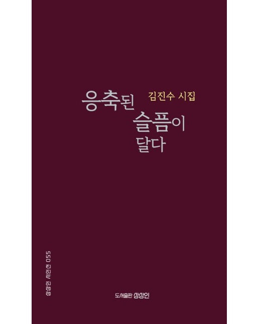 응축된 슬픔이 달다 (김진수 시집)