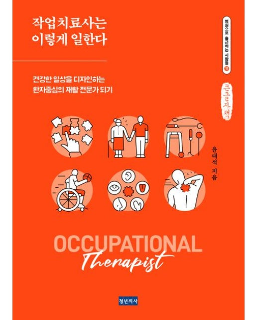 작업치료사는 이렇게 일한다(큰글자책) (건강한 일상을 디자인하는 환자중심의 재활 전문가 되기)
