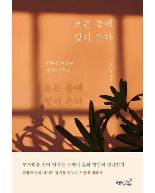 모든 틈에 빛이 든다 : 책에서 길어올린 생각의 조각들