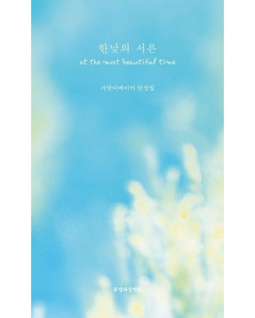 한낮의 서른 (가랑비메이커 단상집)