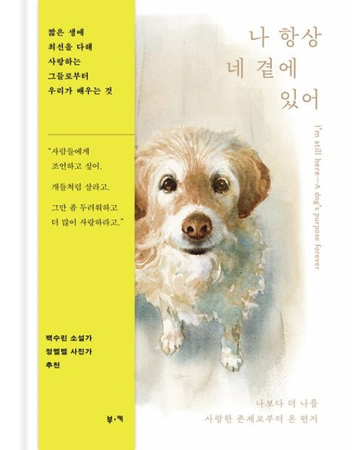 나 항상 네 곁에 있어 (나보다 더 나를 사랑한 존재로부터 온 편지)