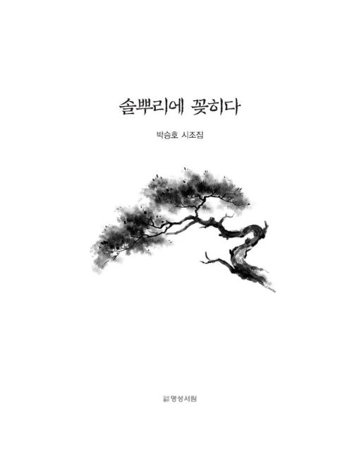 솔뿌리에 꽂히다