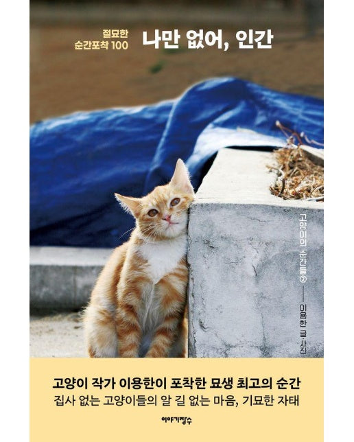 나만 없어, 인간 : 절묘한 순간포착 100 - 고양이의 순간들 2