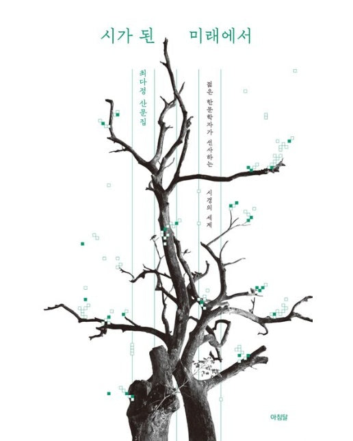 시가 된 미래에서 (최다정 산문집 | 젊은 한문학자가 선사하는 시경의 세계)