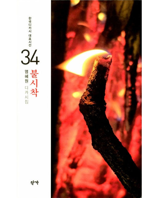 불시착 - 한국디카시 대표시선 34