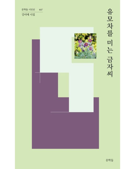 유모차를 미는 금자씨 (강미애 시집 | 반양장)