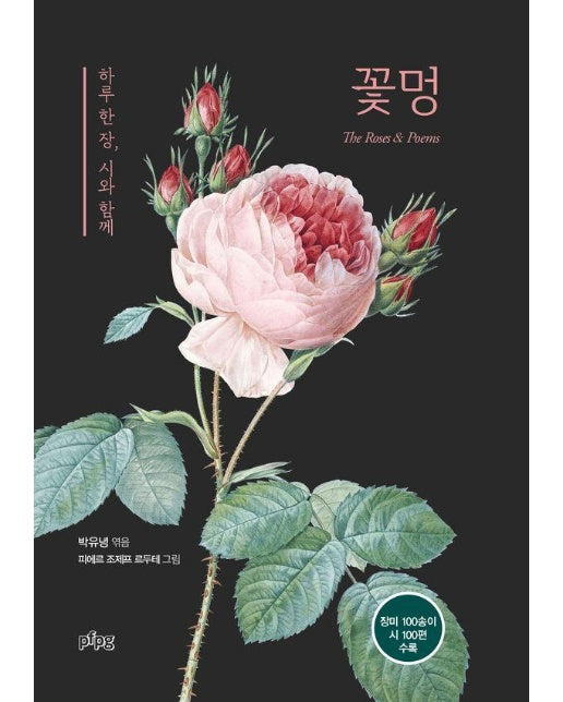 꽃멍 : 하루 한 장, 시와 함께 