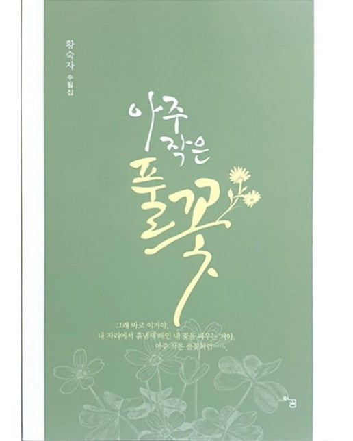 아주 작은 풀꽃 (황숙자 수필집)
