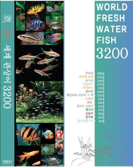 세계 관상어 3200