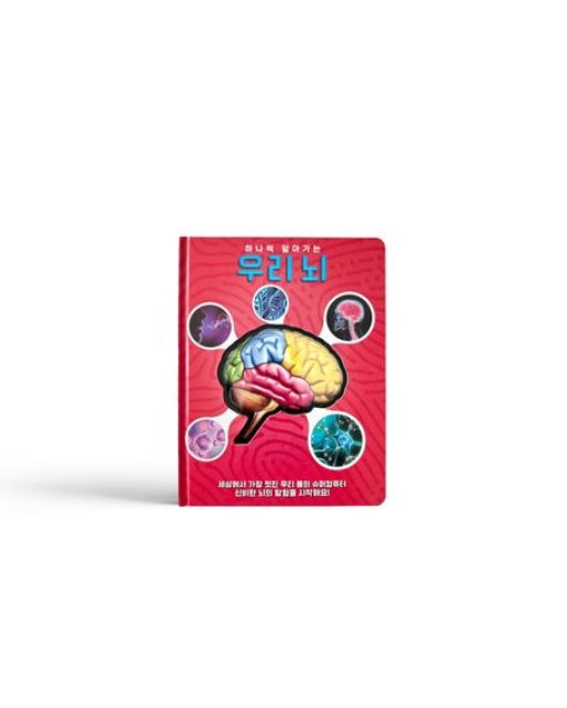 하나씩 알아가는 우리 뇌