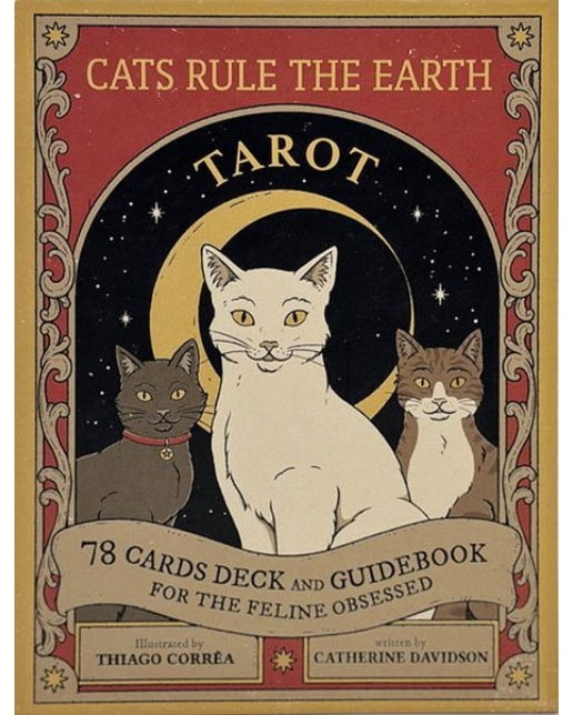 고양이 세상 타로