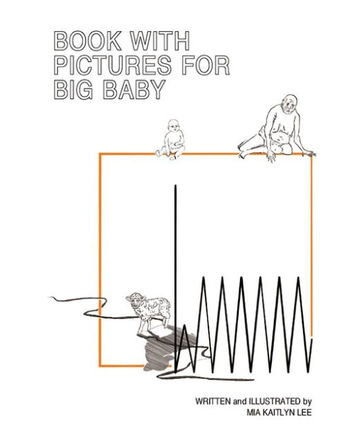 BOOK WITH PICTURES FOR BIG BABY (양장본 Hardcover)