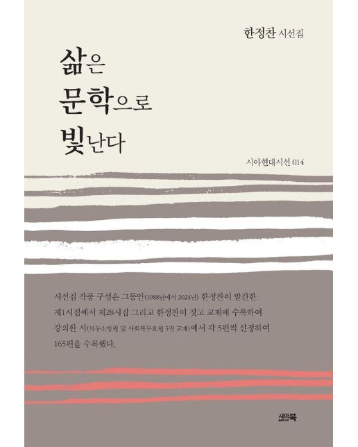 삶은 문학으로 빛난다 - 시아현대시선 13