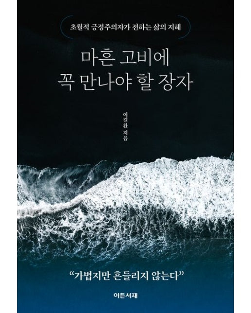 마흔 고비에 꼭 만나야 할 장자 (초월적 긍정주의자가 전하는 삶의 지혜)