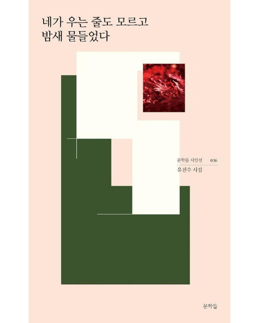 네가 우는 줄도 모르고 밤새 물들었다 - 문학들 시인선 36