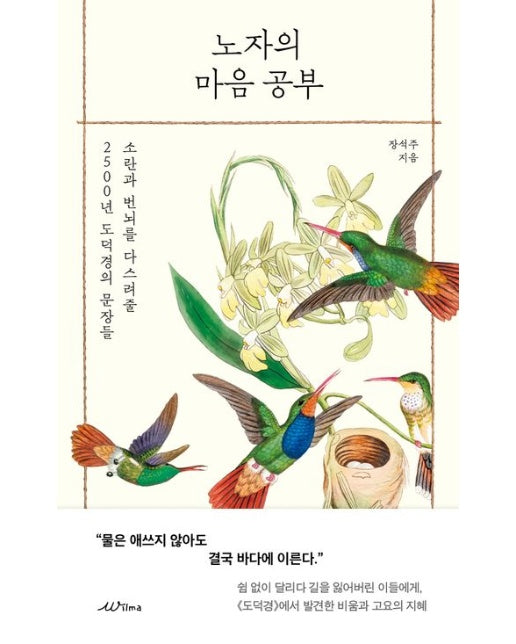 노자의 마음 공부 (소란과 번뇌를 다스려줄 2500년 도덕경의 문장들)