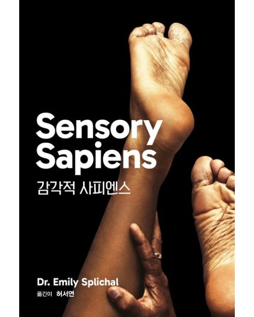 감각적 사피엔스